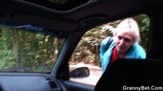 पुराने कुतिया अजनबी से कार में पकड़ा जाता है