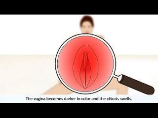 महिला संभोग समझाया