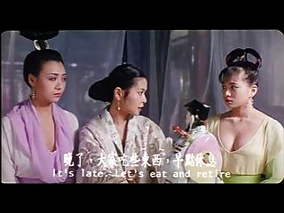 प्राचीन चीनी समलैंगिक