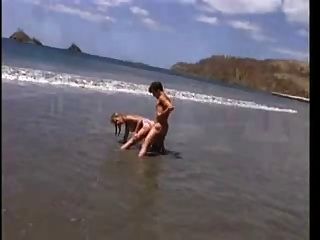 सैली रेट्रो फिल्म में समुद्र तट पर Layd