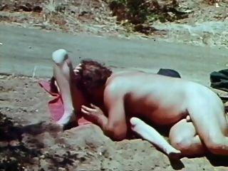 सेक्स पिकनिक 1971